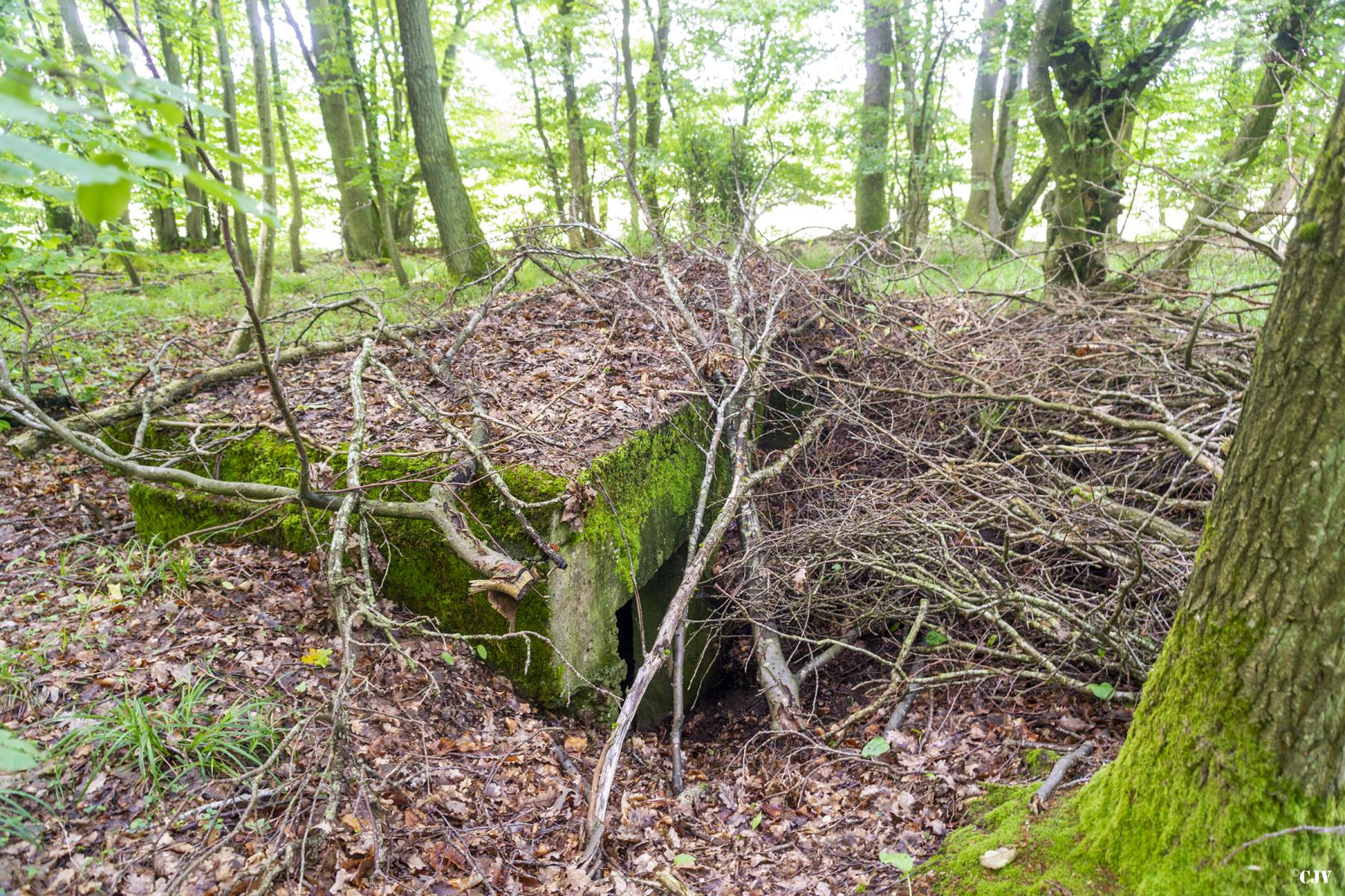 Ligne Maginot - TAUBRUNNENWALD 5 - (Blockhaus pour arme infanterie) -  - Lia VERMEULEN