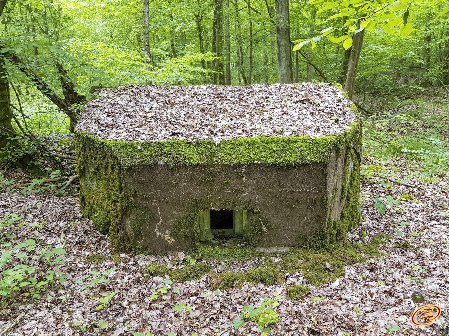 Ligne Maginot - M1B - TAUBRUNNENWALD - (Blockhaus pour arme infanterie) -  - Paul HARY