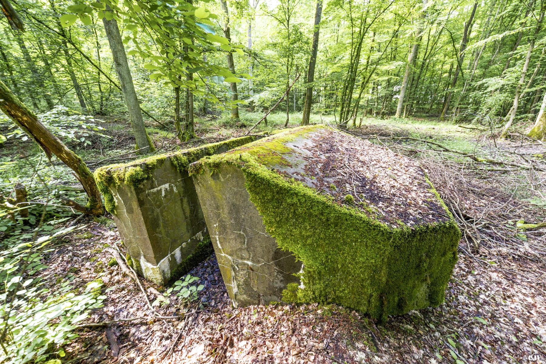 Ligne Maginot - M1B - TAUBRUNNENWALD - (Blockhaus pour arme infanterie) -  - Lia VERMEULEN