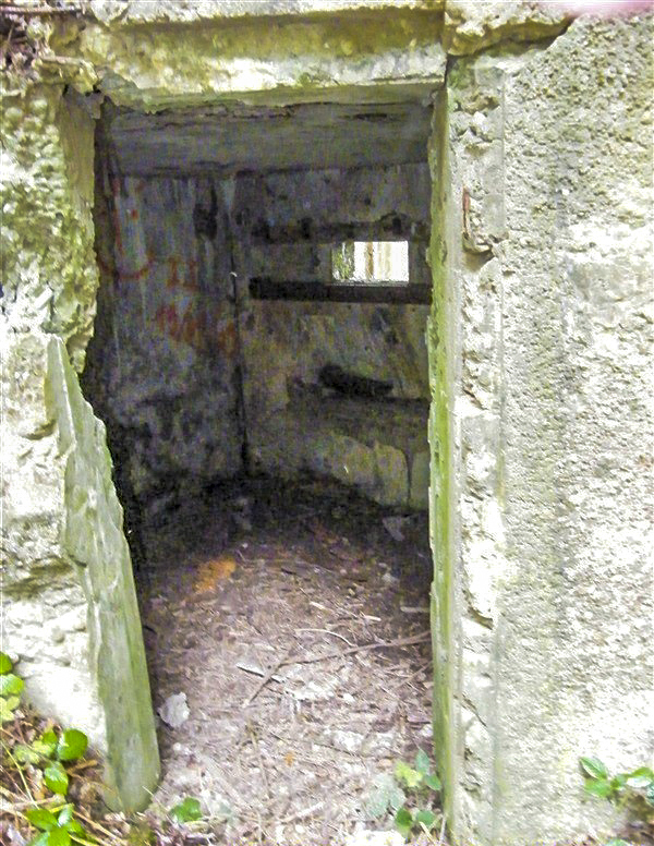 Ligne Maginot - PFAFFENBRONN 3 - (Blockhaus pour arme infanterie) - L'entrée - Jean-Louis AUBLET & Sylvie MAINGUIN