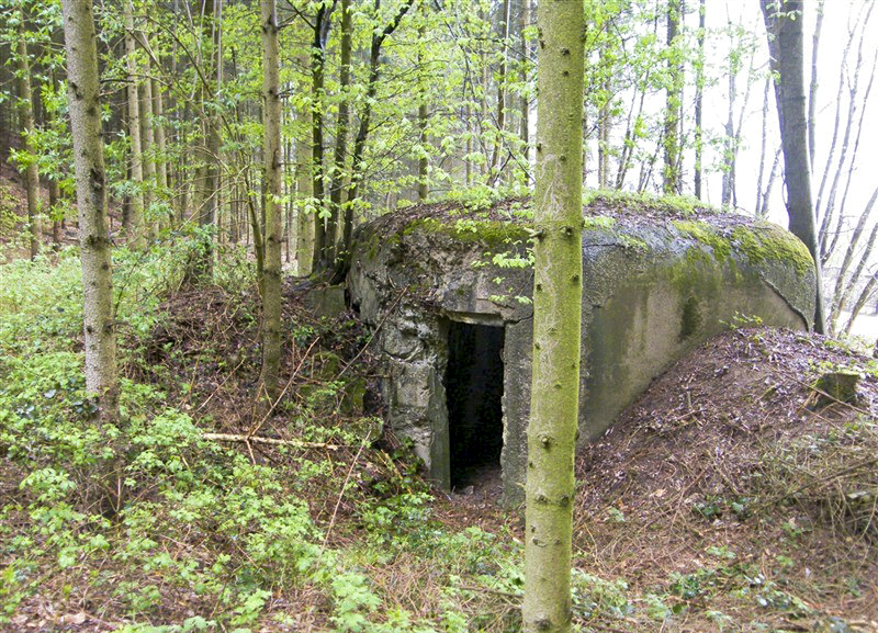 Ligne Maginot - PFAFFENBRONN 3 - (Blockhaus pour arme infanterie) - L'entrée - Jean-Louis AUBLET & Sylvie MAINGUIN