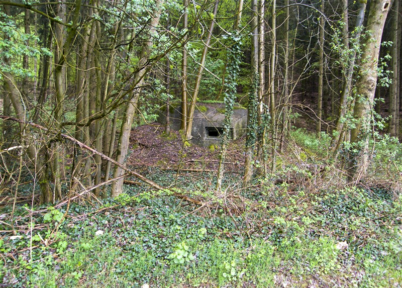 Ligne Maginot - PFAFFENBRONN 3 - (Blockhaus pour arme infanterie) -  - Jean-Louis AUBLET & Sylvie MAINGUIN