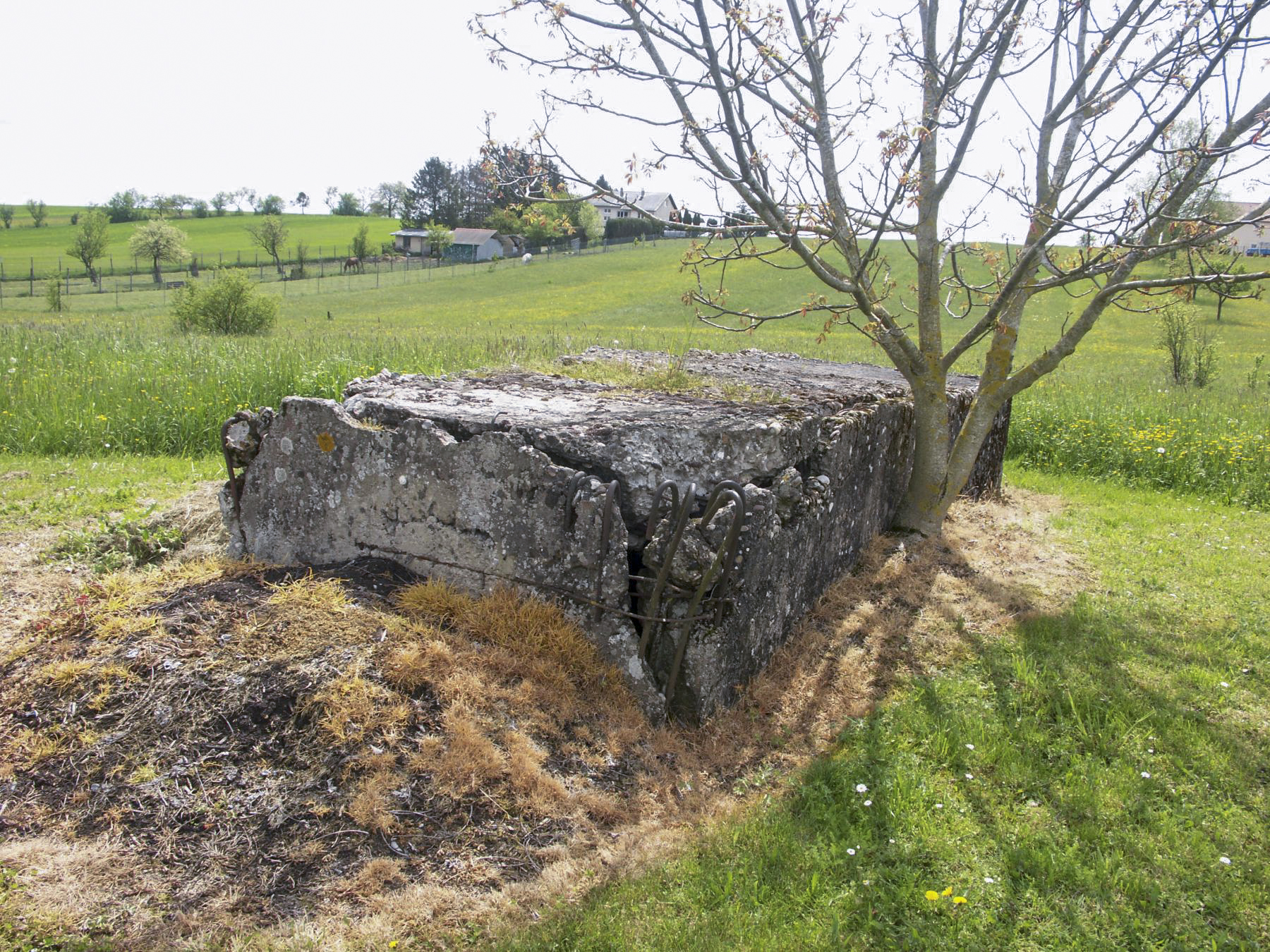 Ligne Maginot - MESS - (Blockhaus pour arme infanterie) -  - Paul HARY