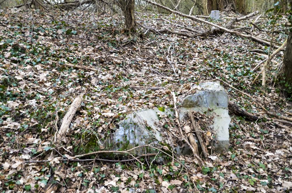Ligne Maginot - BATTENHEIM ECLUSE 44 NORD - (Cuve pour arme d'infanterie) -  - D. Froehly