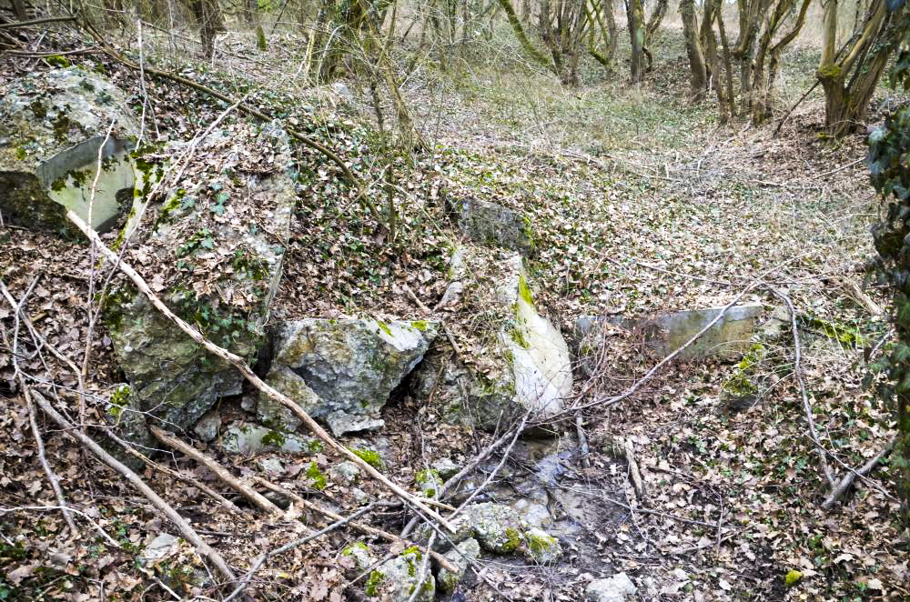 Ligne Maginot - BATTENHEIM ECLUSE 44 NORD - (Cuve pour arme d'infanterie) -  - D. Froehly