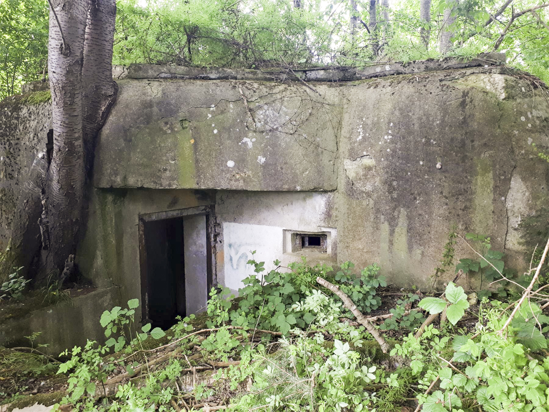 Ligne Maginot - GROSSMATTEN - (Blockhaus pour arme infanterie) - L'entrée en chicane. Un troisième créneau de fusillade en assure la défense rapprochée - Gregory Fuchs