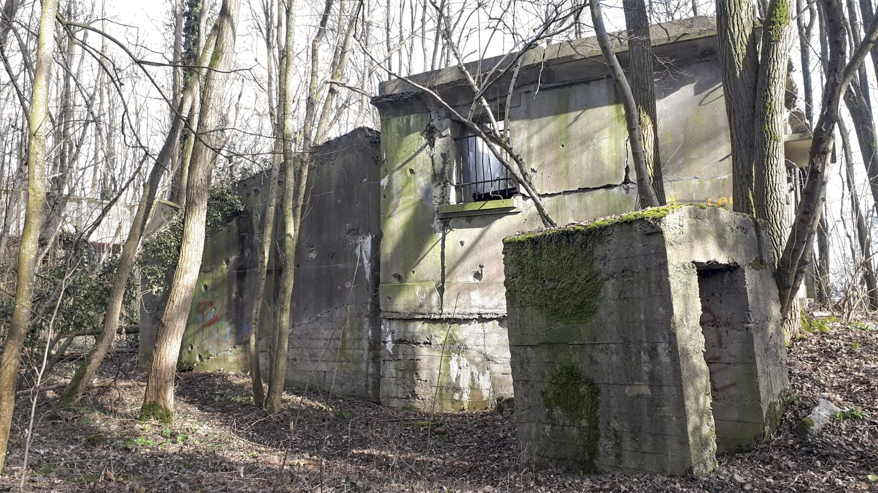 Ligne Maginot - SUNDHOUSE - (Stand de tir) - Un curieux bloc à coté de la casemate d'exercice - G.Fuchs