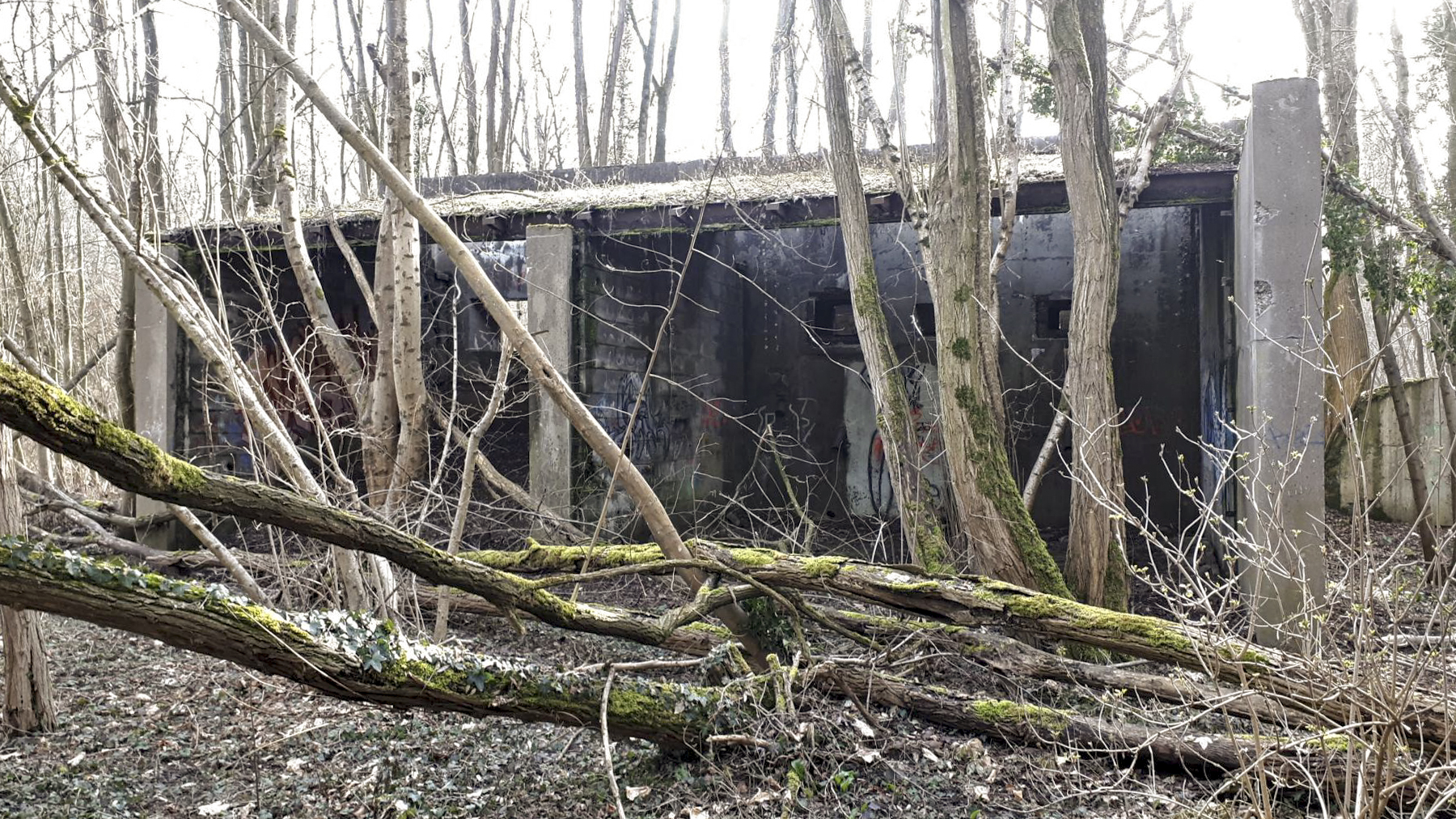 Ligne Maginot - SUNDHOUSE - (Stand de tir) - Vue sur les créneaux de la casemate d'exercice - G.Fuchs