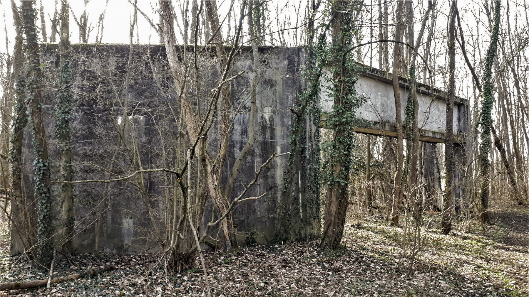 Ligne Maginot - SUNDHOUSE - (Stand de tir) - Paraballe - G.Fuchs