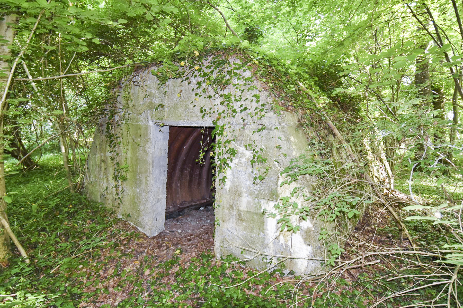 Ligne Maginot - SUNDHOUSE (I/42° RIF PUIS I/242° RI) - (PC de Quartier) - Façade nord de l'abri - Daniel Froehly
