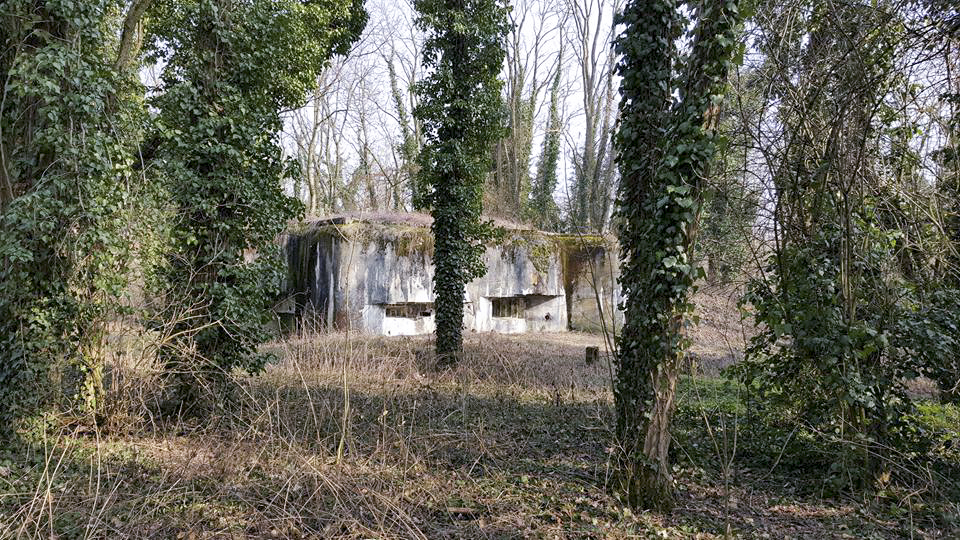Ligne Maginot - 84 - CHEMIN CREUX - (Casemate d'infanterie - Double) - Vue vers la façade sud-ouest - Manuel KLENCK