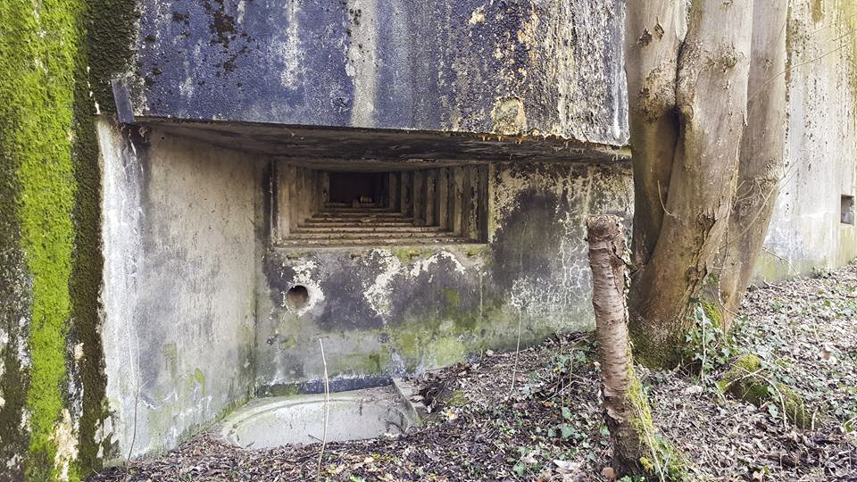 Ligne Maginot - 84 - CHEMIN CREUX - (Casemate d'infanterie - Double) - Créneau mitrailleuse nord-est - Manuel KLENCK