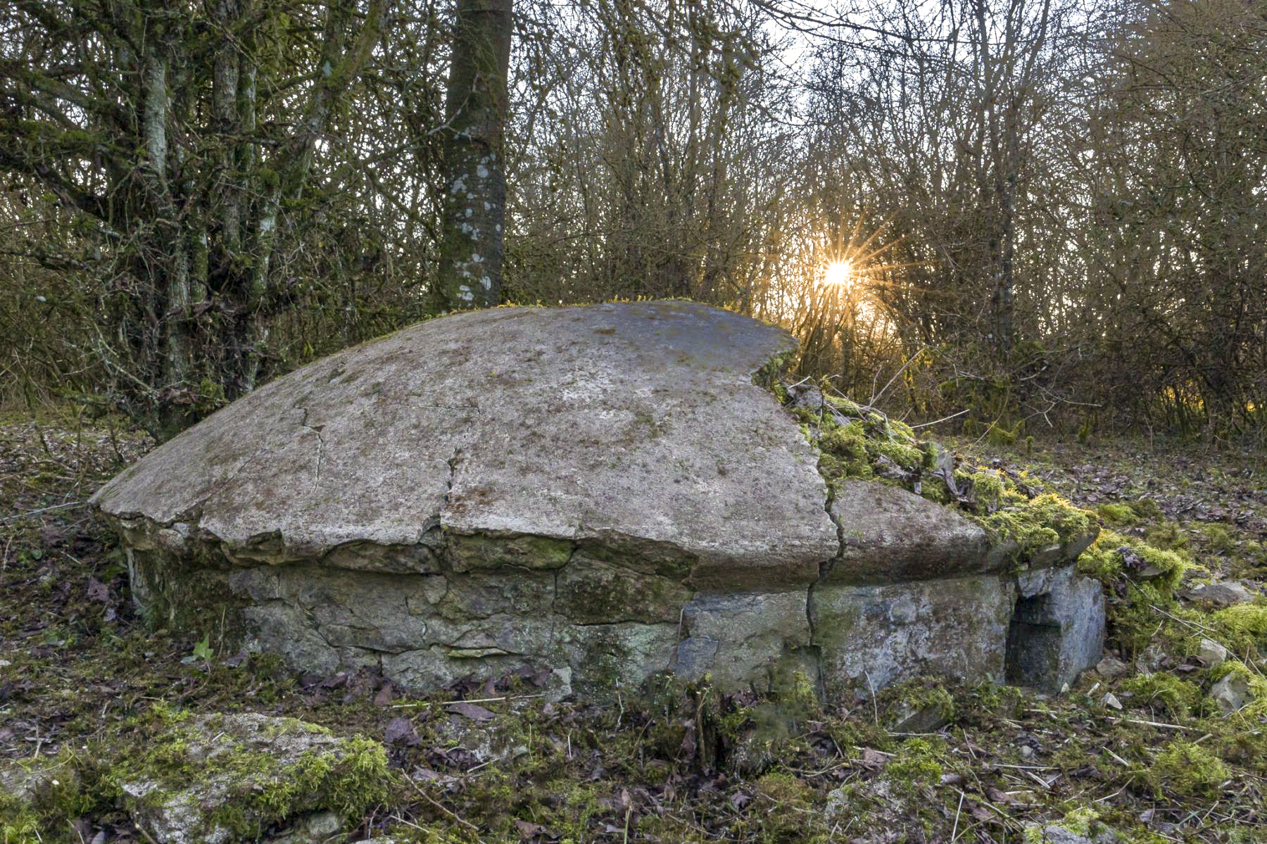 Ligne Maginot - WELSCHHOF - (Ouvrage d'infanterie) - Fausse tourelle  - Lenhard Christian