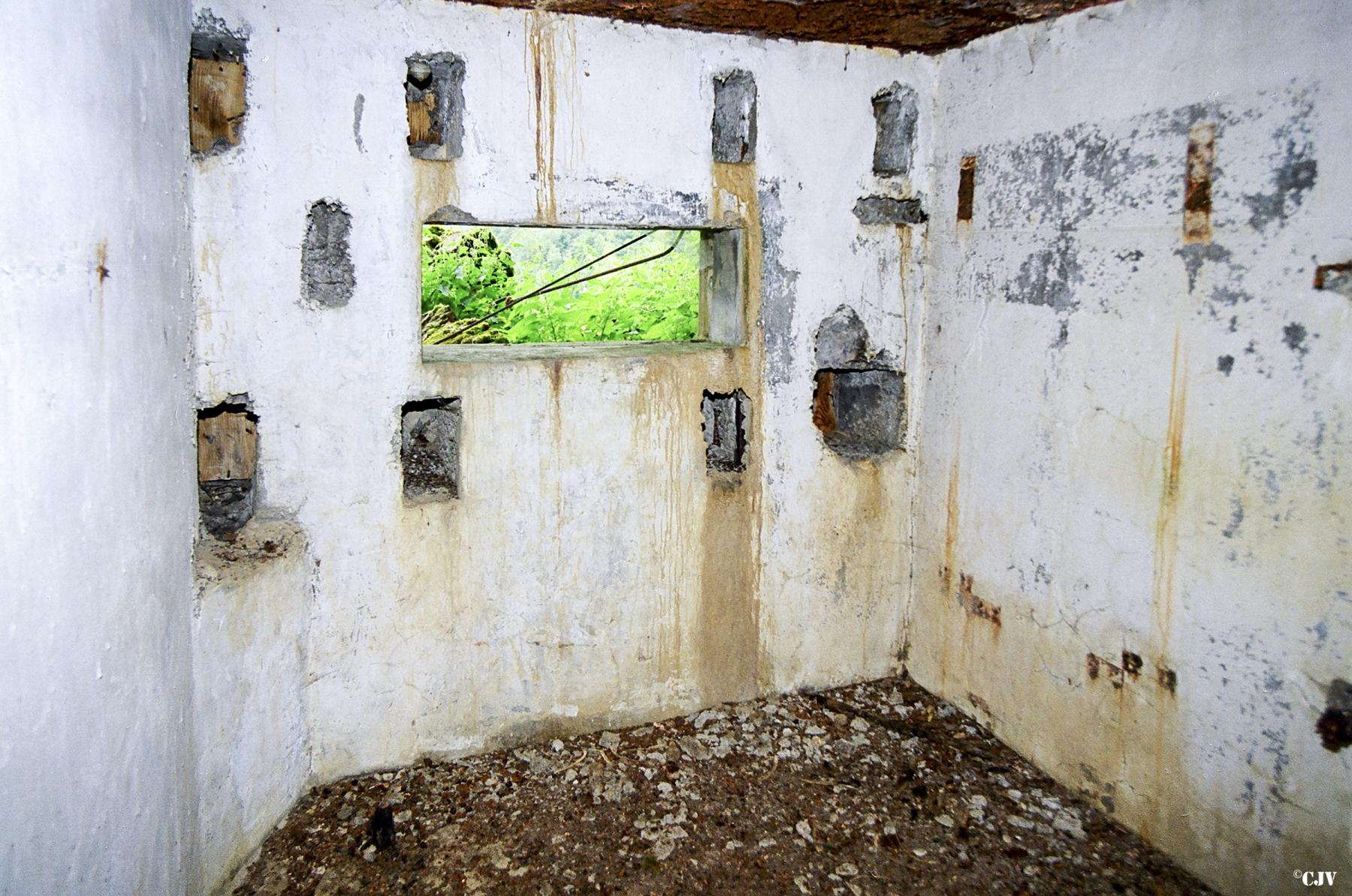 Ligne Maginot - 47 - SOULCE-CERNAY - (Blockhaus pour canon) - Créneau pour canon - Lia Vermeulen