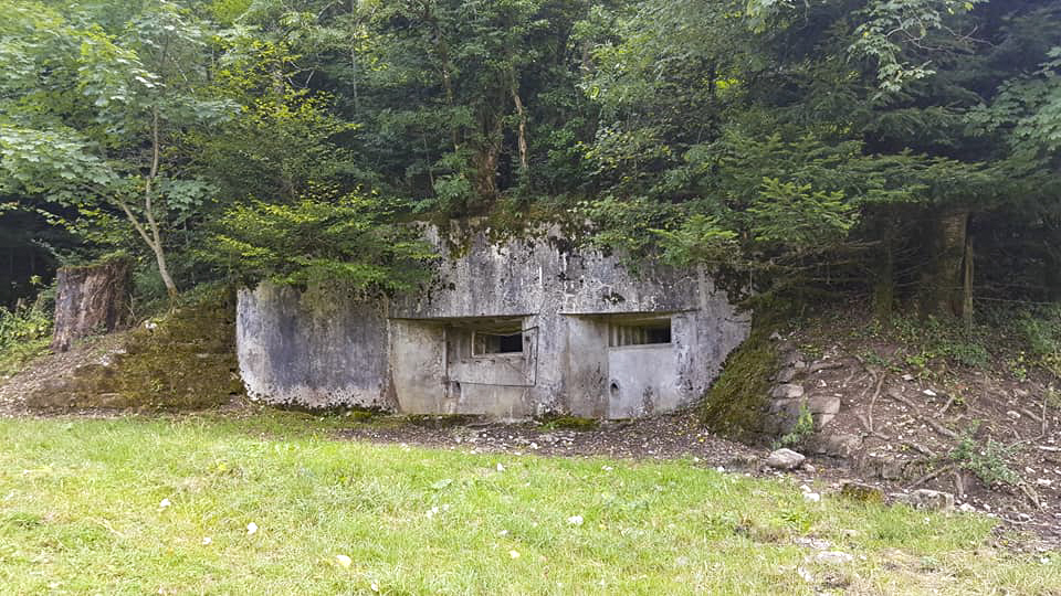 Ligne Maginot - 47 - SOULCE-CERNAY - (Blockhaus pour canon) -    - Michel Poulton
