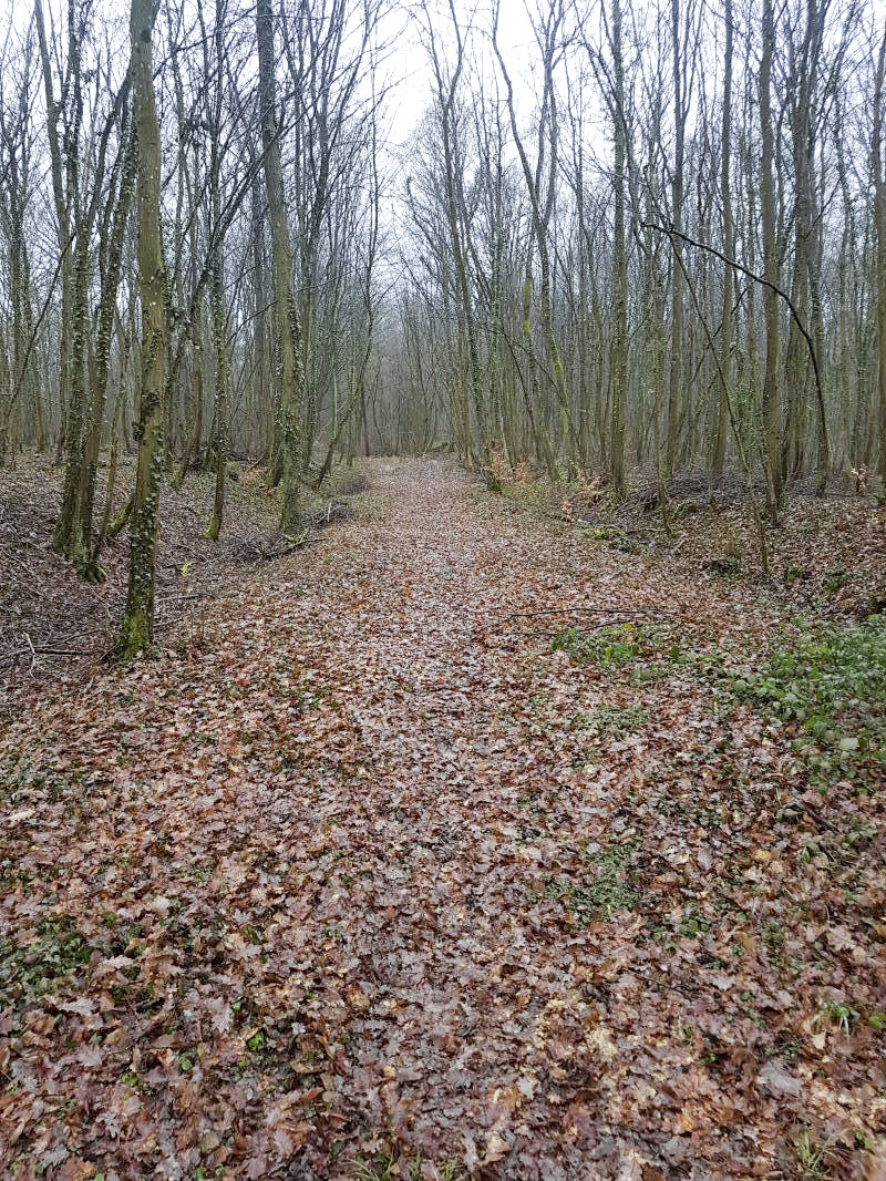 Ligne Maginot - RURANGE - (Depot du Génie) - Voie ferrée donnant vers le dépôt. - Kiki57