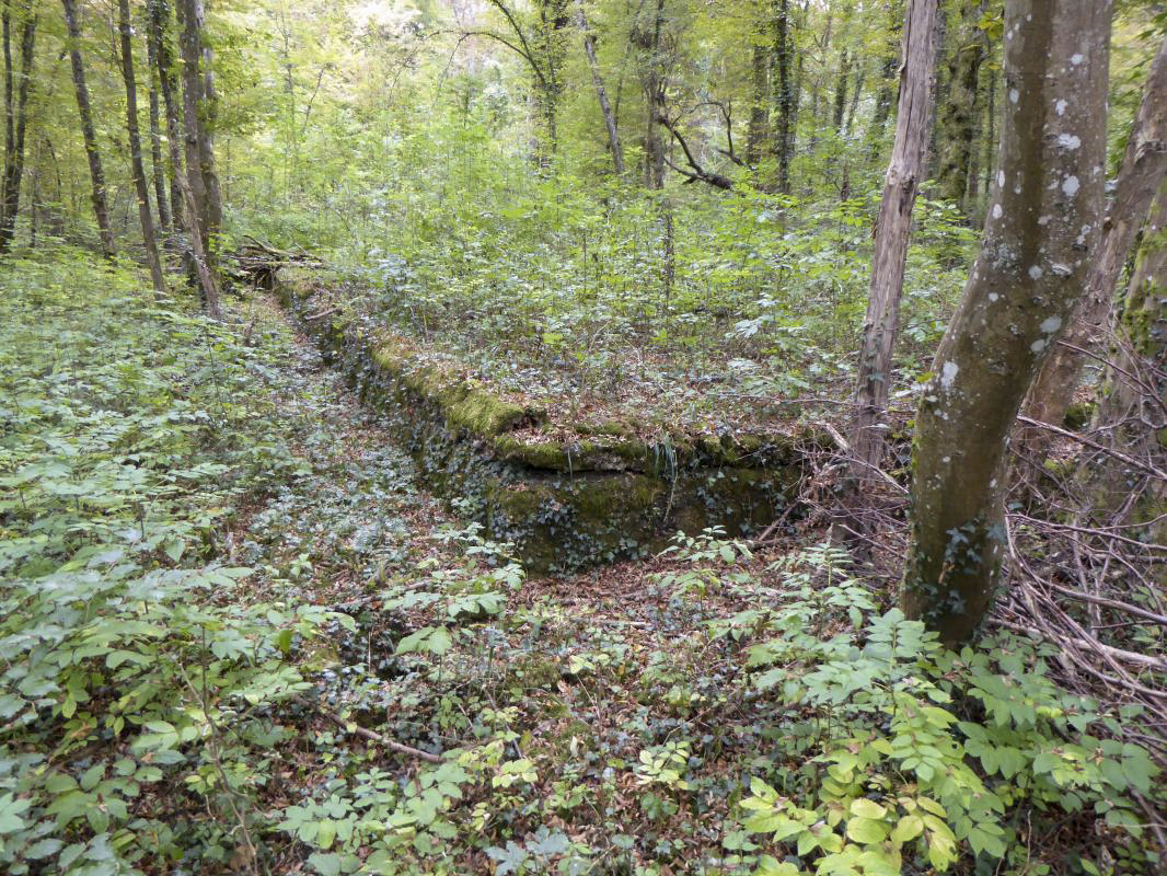 Ligne Maginot - MONT DES WELCHES - (Casernement) -  -  ELLENA-CUNY