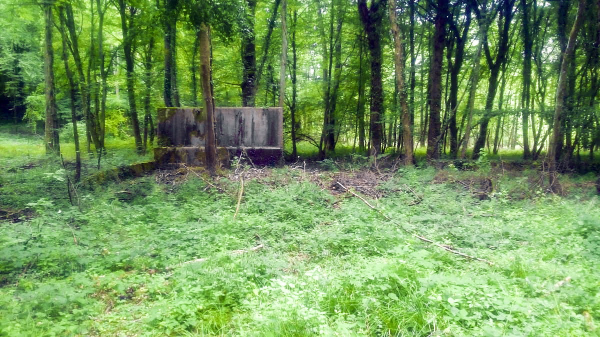 Ligne Maginot - MONT DES WELCHES - (Casernement) - Les restes du lavabo - Aditus