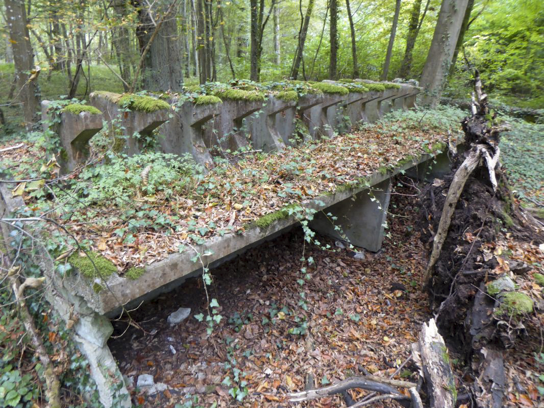 Ligne Maginot - MONT DES WELCHES - (Casernement) -  - ELLENA-CUNY