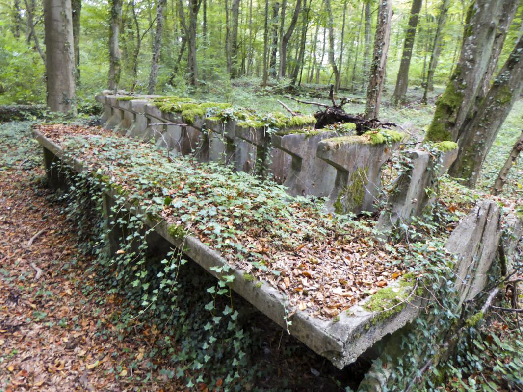 Ligne Maginot - MONT DES WELCHES - (Casernement) -  - ELLENA-CUNY