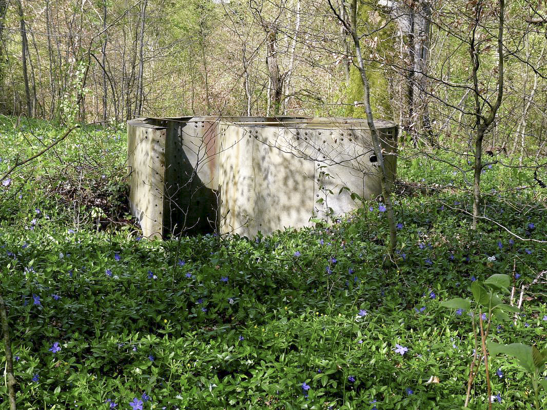 Ligne Maginot - CB48 - BOIS DE LA FANK - (Observatoire d'infanterie) -  - Sylvie Laure LAMBERT