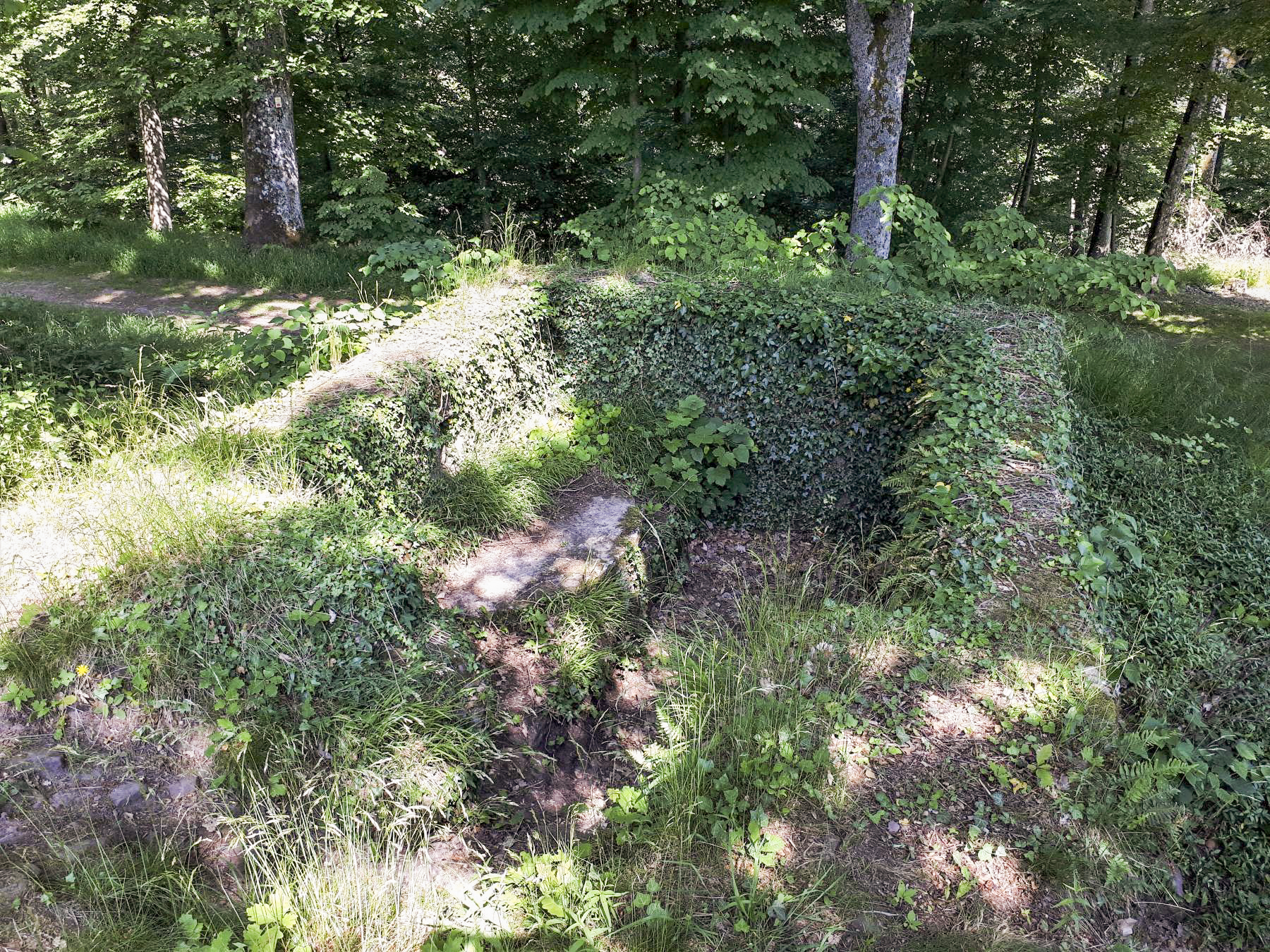 Ligne Maginot - CHATEAU NEUF 3 - (Blockhaus pour arme infanterie) - Vue d'ensemble du blockhaus - Gregory Fuchs
