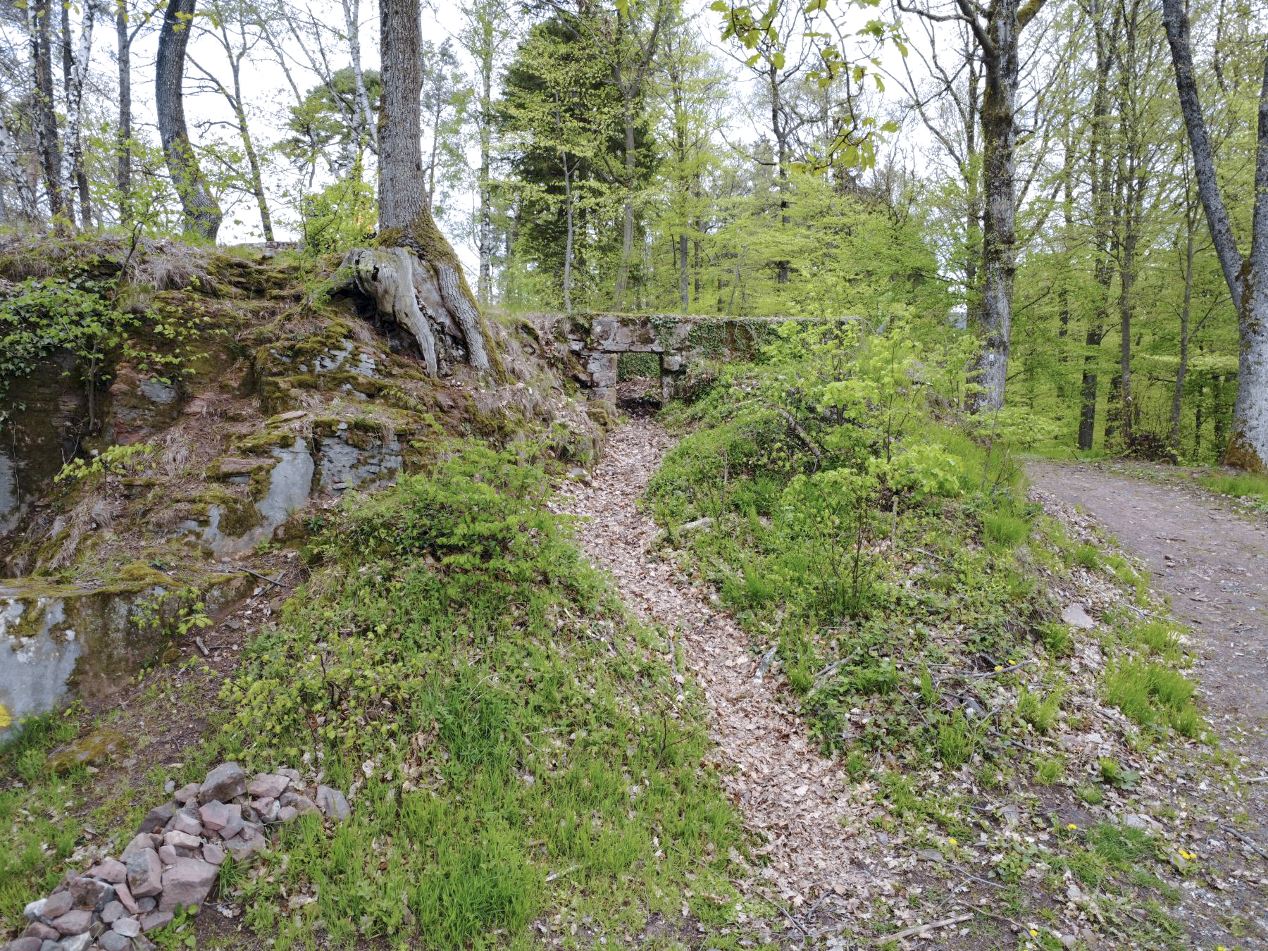 Ligne Maginot - CHATEAU NEUF 1 - (Blockhaus pour arme infanterie) - L'entrée. A droite, le chemin couvert par le blockhaus - luc .j