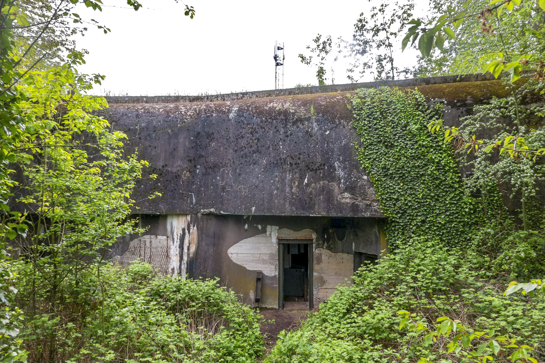 Ligne Maginot - HATTEN - O1 - (Observatoire d'artillerie) - Façade de l'observatoire recouverte par la végétation  - Michel Teiten