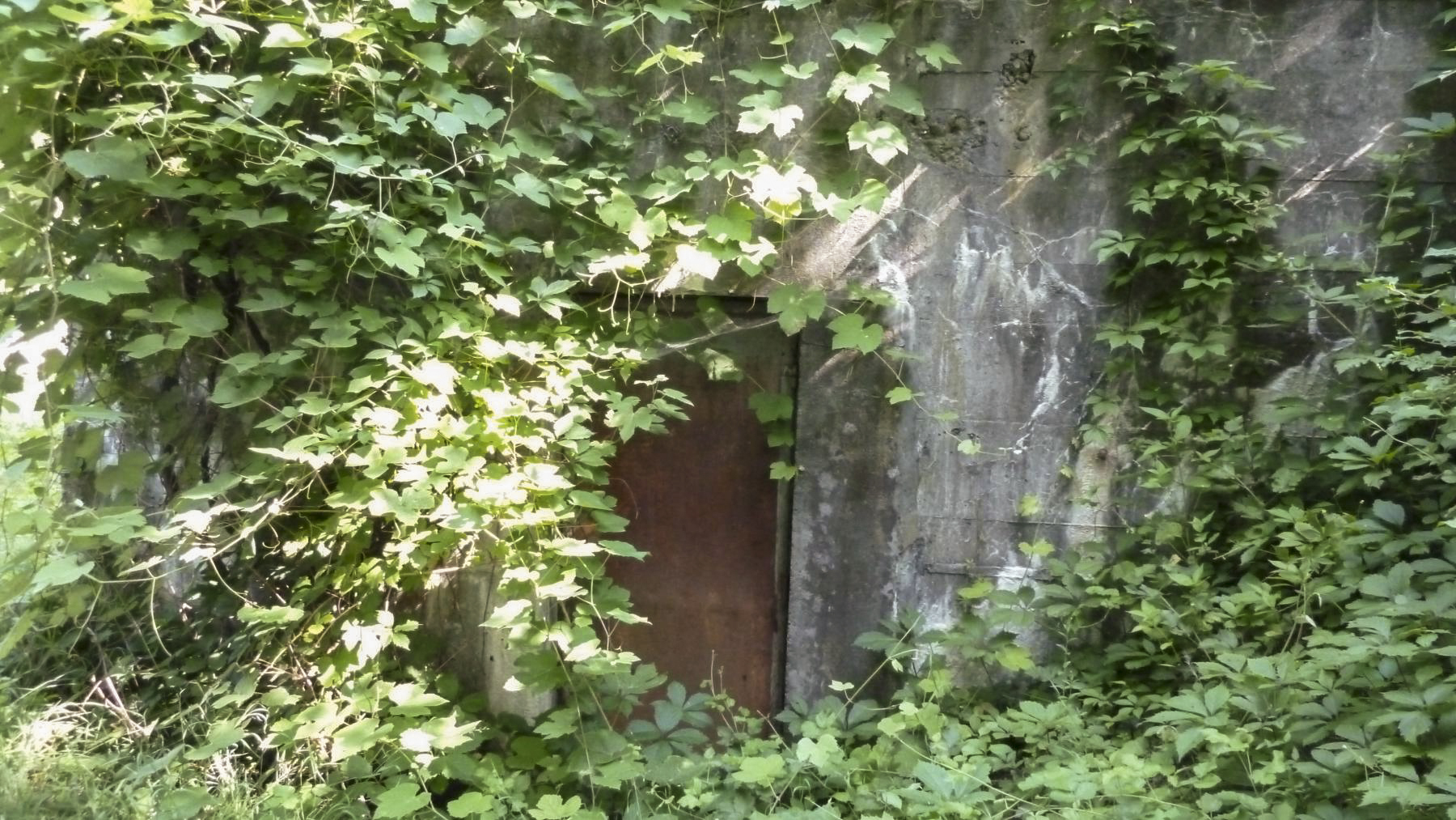Ligne Maginot - O56 - MAGLAND-OËX - HS123 - (Blockhaus pour canon) - Porte métallique en place - M.Vérilhac