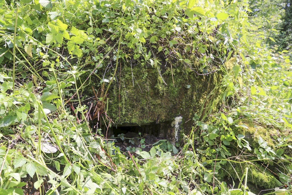 Ligne Maginot - SA-16 - LES PANISSATS 3 - (Blockhaus pour arme infanterie) - Invisible printemps/été dans un champ d'orties, signalé et dégagé par le propriétaire.  - Alain Perouffe