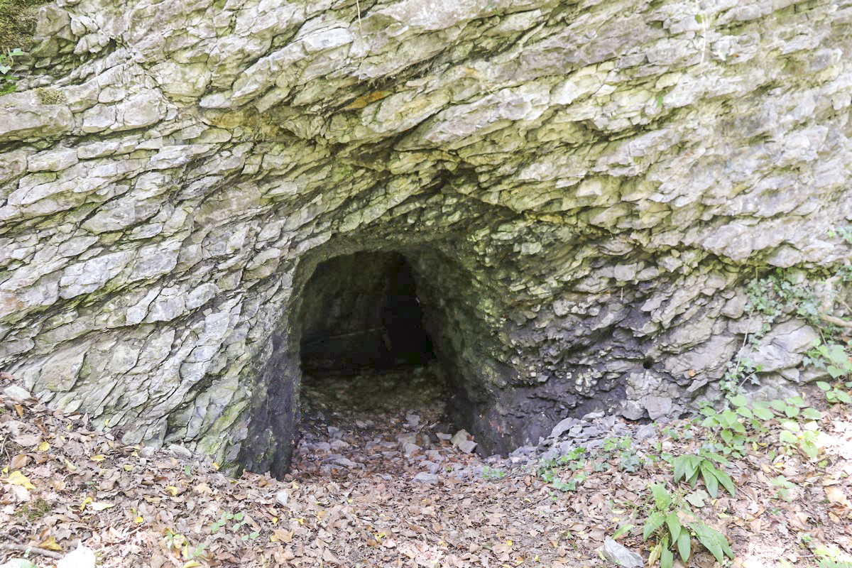 Ligne Maginot - O59 - SAXEL CENTRE - (Abri) - Entrée sud
 - Alain Perouffe