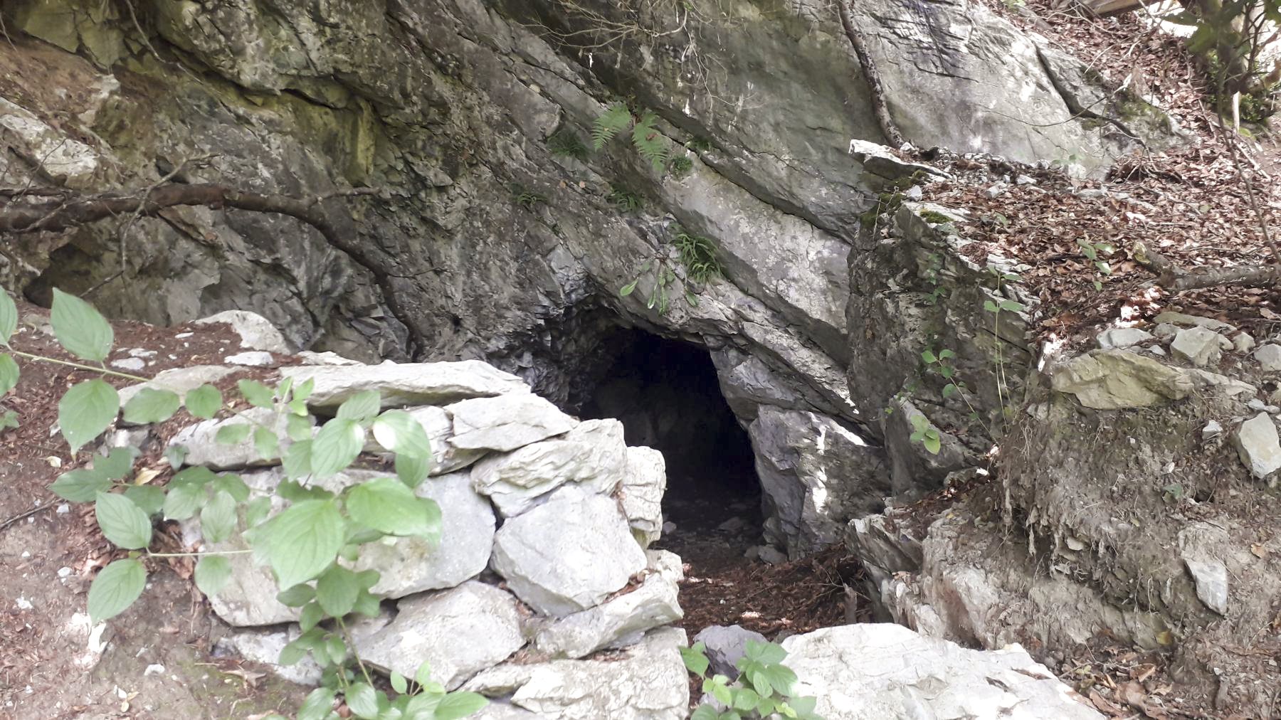 Ligne Maginot - O7-7BIS - SAXEL SUD - (Ouvrage d'infanterie) - Emplacement de tir resté à l'état brut - M.Vérilhac