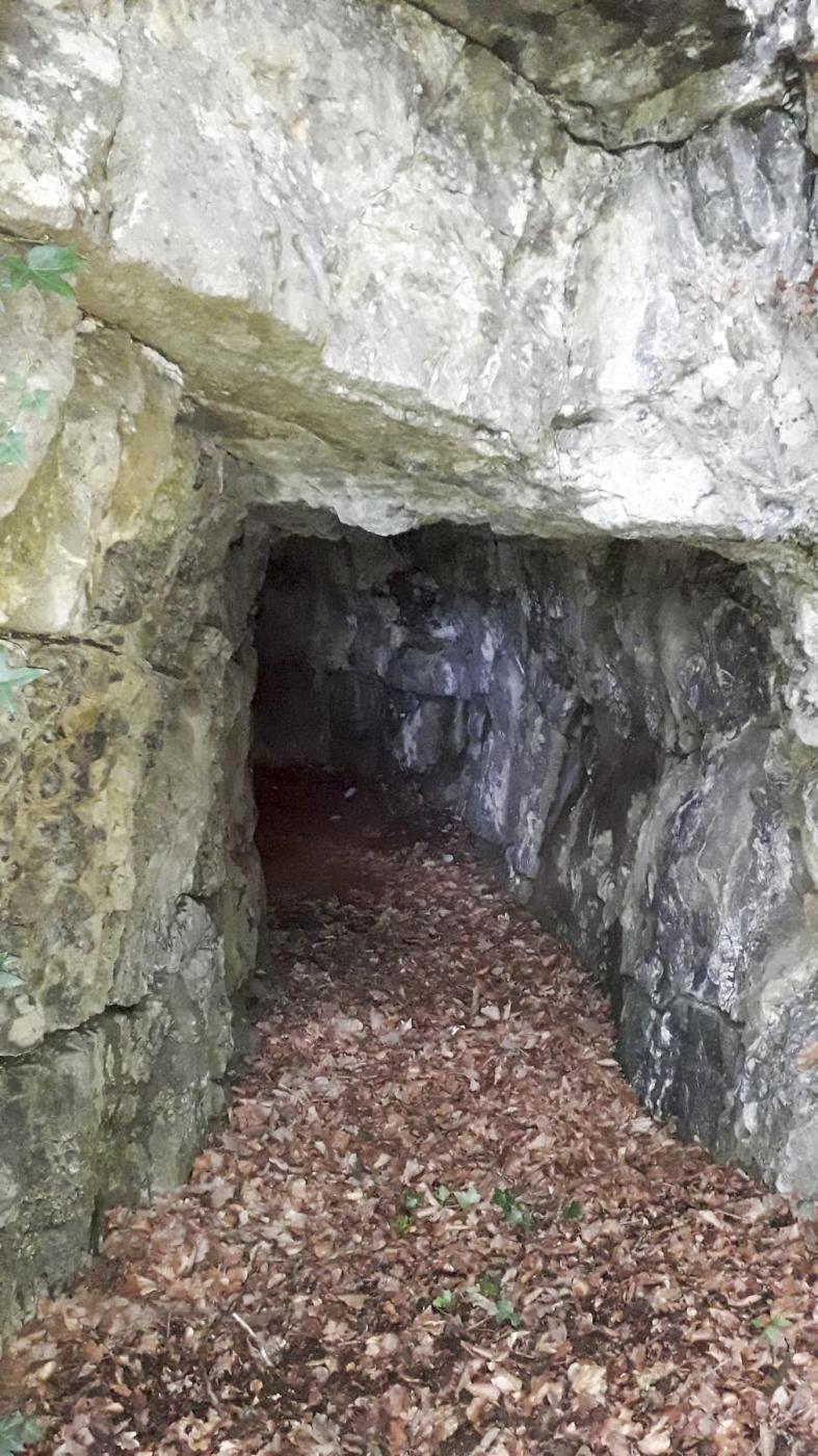 Ligne Maginot - O52-53-53BIS - OËX - (Ouvrage d'infanterie) - L'entrée - M.Vérilhac