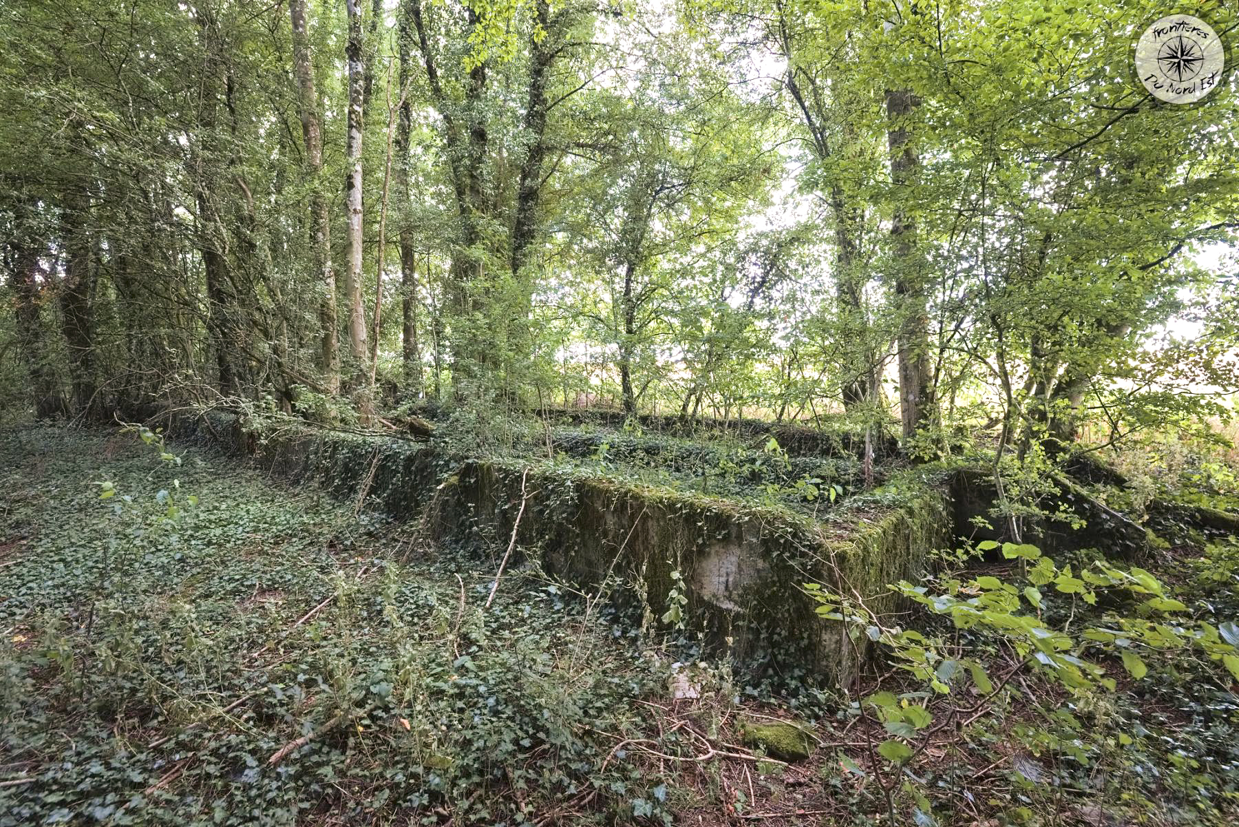 Ligne Maginot - CHAPPY - (Casernement) -  - Thierry Caland