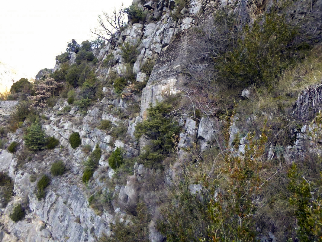 Ligne Maginot - RIMPLAS (RS) - (Ouvrage d'artillerie) - Bloc 6
Façade inaccessible du Bloc optique - ELLENA - CUNY