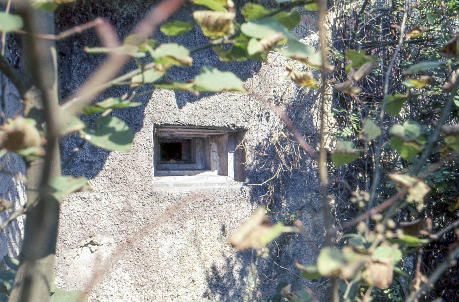 Ligne Maginot - ACA1 - TETING - (Casemate d'artillerie) - Le créneau de défense rapproché - MANSUY Michel