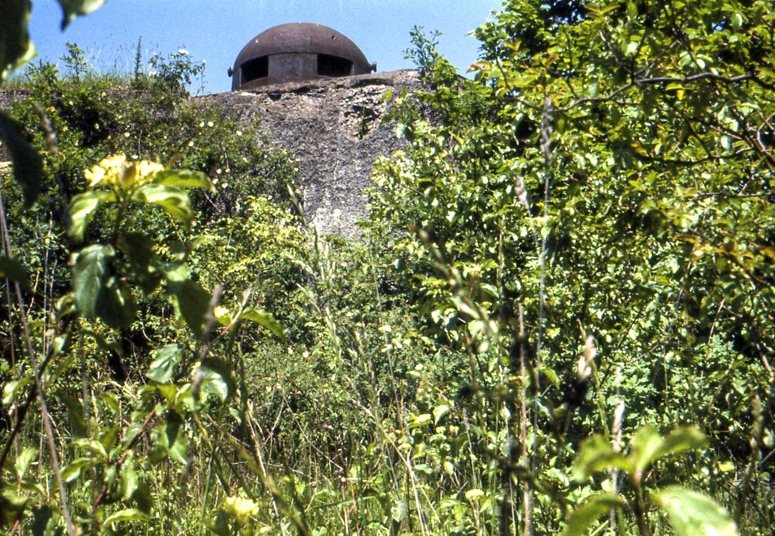 Ligne Maginot - ACA1 - TETING - (Casemate d'artillerie) - La cloche - MANSUY Michel