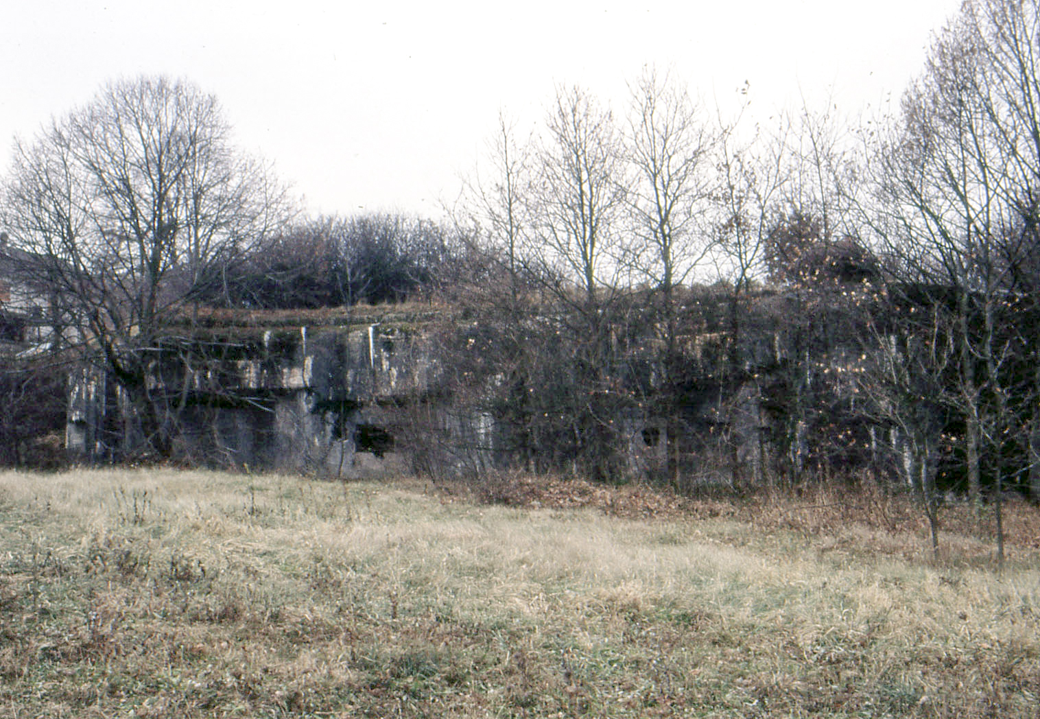 Ligne Maginot - ACA1 - TETING - (Casemate d'artillerie) -  - MANSUY Michel