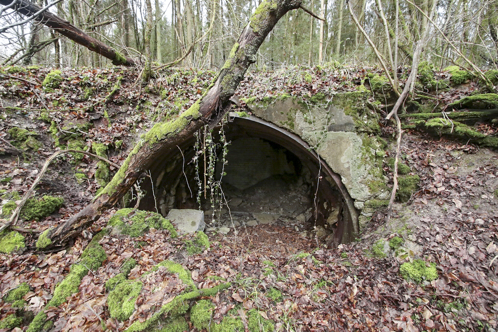Ligne Maginot - SCHIDELBERG EST (6° CM/II/161° RIF) - (PC de Sous-Quartier) -  - GRUBER Franck