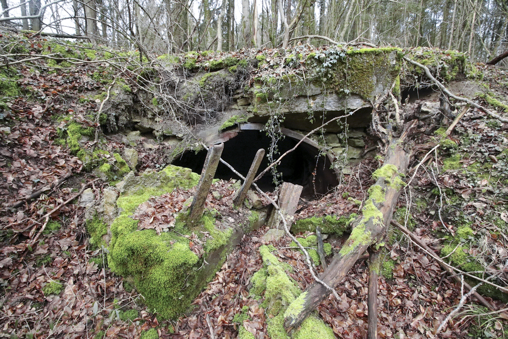Ligne Maginot - SCHIDELBERG EST (6° CM/II/161° RIF) - (PC de Sous-Quartier) -  - GRUBER Franck