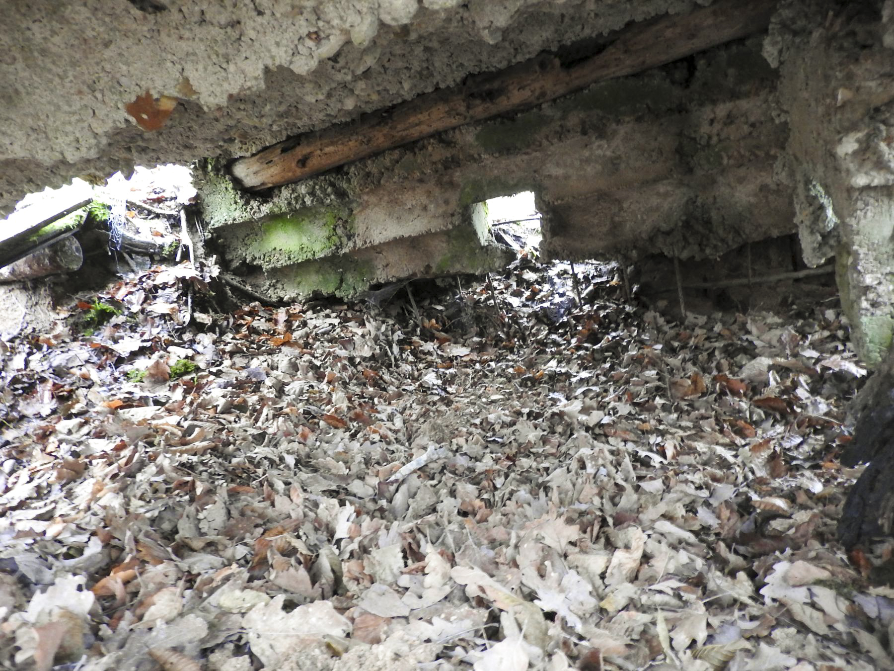 Ligne Maginot - ROHRWALD OUEST - (Blockhaus pour arme infanterie) - L'intérieur du blockhaus avec le créneau vers Valette. - STENGER Mathieu