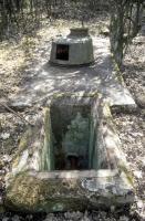 Ligne Maginot - NONNENWALD 1 - (Blockhaus pour arme infanterie) - Tourelle FT 
Etat en 2003
