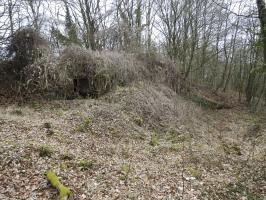 Ligne Maginot - BILLIG - A18 - (Ouvrage d'artillerie) - Bloc 3
Le bloc remblayé 