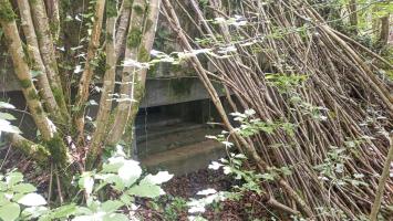 Ligne Maginot - MB24 - (Blockhaus pour arme infanterie) - Un des deux créneaux