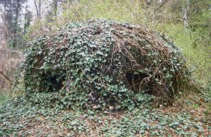 Ligne Maginot - MONT DES WELCHES - A21 - (Ouvrage d'artillerie) - Entrée des hommes
Cloche GFM Avec son camouflage en béton et ... naturel 