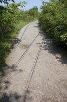 Ligne Maginot - VF60 - ANTENNE DE L'OUVRAGE DU KOBENBUSCH - (RESEAU - Voie 60 - Antenne ou rocade ferroviaire) - EVITEMENT DE HETTANGE-GRANDE
Vestiges de l'évitement encore visibles