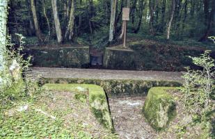 Ligne Maginot - VF60 - ANTENNE DE L'OUVRAGE DU KOBENBUSCH - (RESEAU - Voie 60 - Antenne ou rocade ferroviaire) - Pont du Schwerenberg
Vue dans l'axe du ruisseau