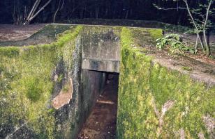 Ligne Maginot - VF60 - ANTENNE DE L'OUVRAGE DU KOBENBUSCH - (RESEAU - Voie 60 - Antenne ou rocade ferroviaire) - Pont du Schwerenberg
Passage sous voie