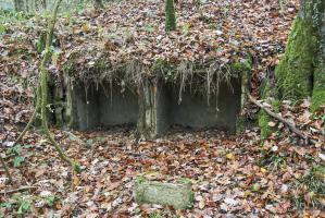Ligne Maginot - BOIS DE KANFEN EST - C43 - (Casemate d'infanterie - Simple) - Niches à mines