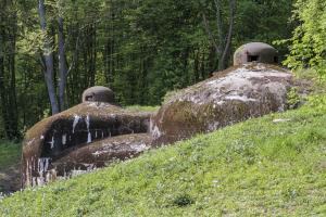 Ligne Maginot - KOBENBUSCH  - A13 - (Ouvrage d'artillerie) - Entrée des munitions
Cette vue avec les deux cloches GFM met bien en évidence la forme unique de cette entrée